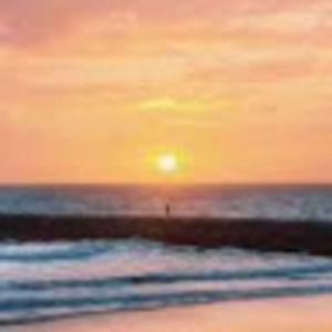 Meet your Posher, Lulu